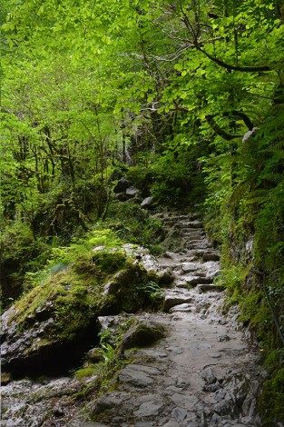 visiter les gorges de kakuetta au pays basque, c'est comme aller en amazonie, une promenade extraordinaire avec les filles en espadrilles