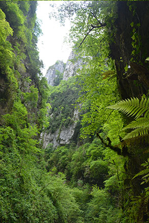 visiter les gorges de kakuetta au pays basque, c'est comme aller en amazonie, une promenade extraordinaire avec les filles en espadrilles