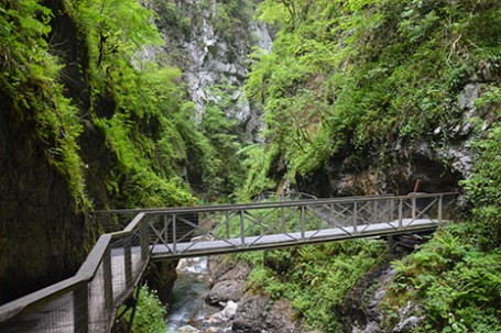 visiter les gorges de kakuetta au pays basque, c'est comme aller en amazonie, une promenade extraordinaire avec les filles en espadrilles