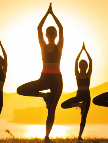 cours de yoga au pays basque par sylvie doxaran, des cours à saint palais et à arreaute charrite et des stages en pays basque intérieur