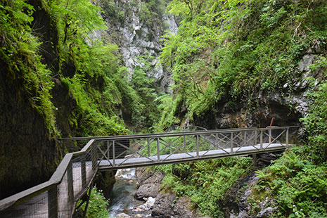 visiter les gorges de kakuetta au pays basque, c'est comme aller en amazonie, une promenade extraordinaire avec les filles en espadrilles