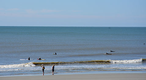 les filles en espadrilles vous proposent une liste de lecture de plage, des belles histoires, des bd sympa et même un dictionnaire insolite du pays basque