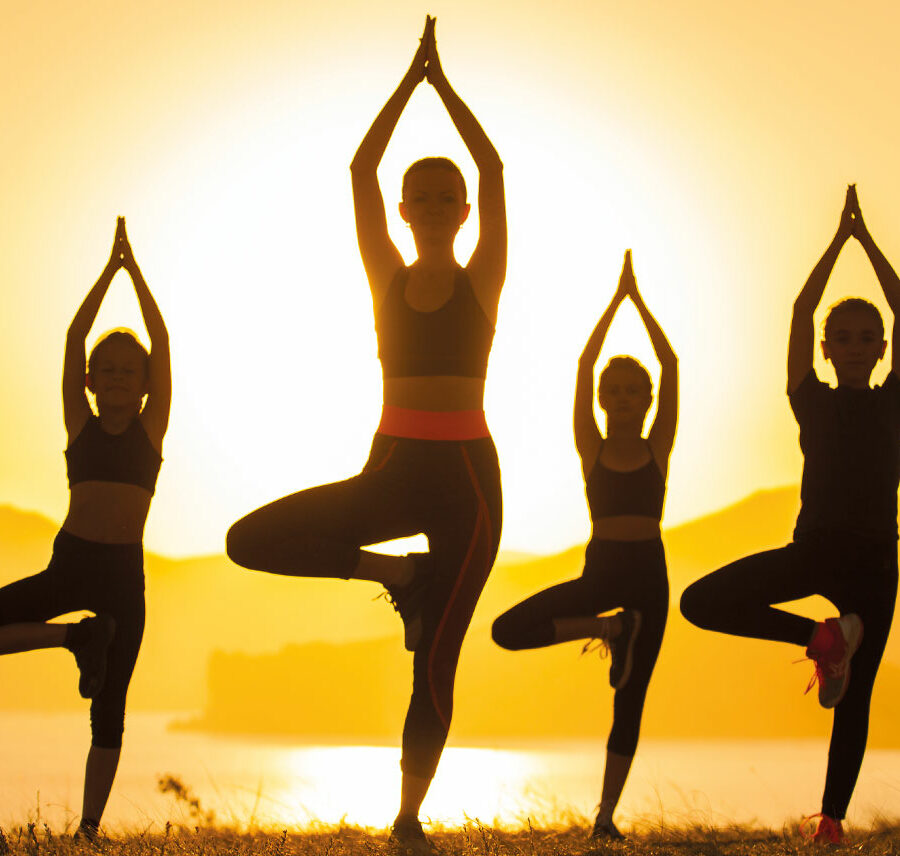 cours de yoga au pays basque par sylvie doxaran, des cours à saint palais et à arreaute charrite et des stages en pays basque intérieur